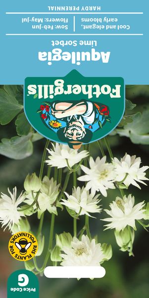 Hovedbilde Akeleie 'Lime Sorbet’ -  Aquilegia vulgaris 