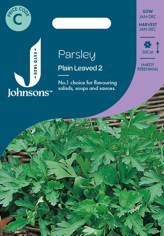 Persille 'Plain leaved 2 - Petroselinum, Flatbladet