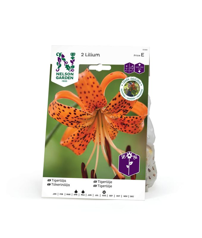 Tigerlilje - Lilium lancifolium - 2 stk