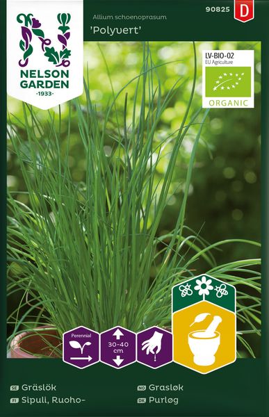 Hovedbilde Gressløk 'Polyvert', organic- Allium schoenoprasum 