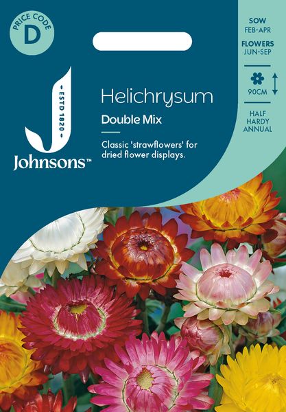 Hovedbilde Høststråblomst 'Double Mixed' - Xerochrysum bracteatum