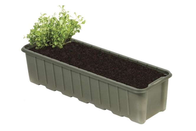 Hovedbilde Såbrett, 24 cm - biobasert 5 pakk
