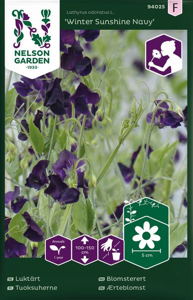 Hovedbilde Blomsterert 'Winter Sunshine Navy' - Lathyrus odoratus 