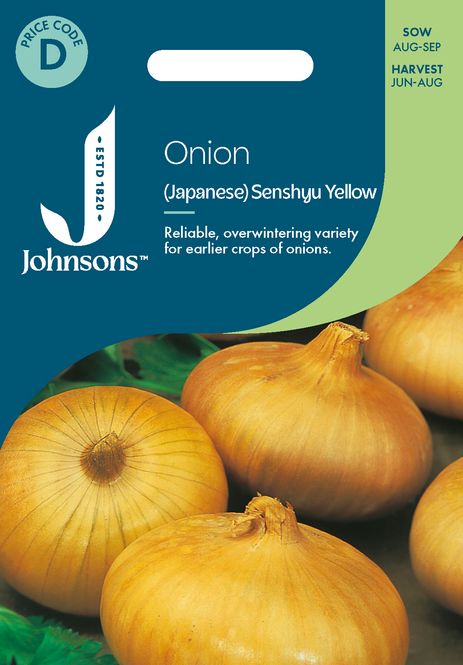 Hovedbilde Kepaløk 'Senshyu Yellow' - Allium cepa