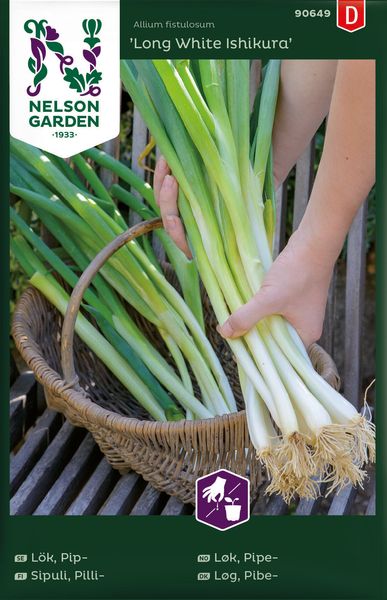 Hovedbilde Vårløk 'Long White Ishikura' - Allium fistulosum