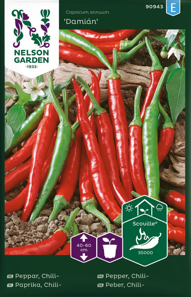 Chilipepper 'Damián' - Capsicum annuum
