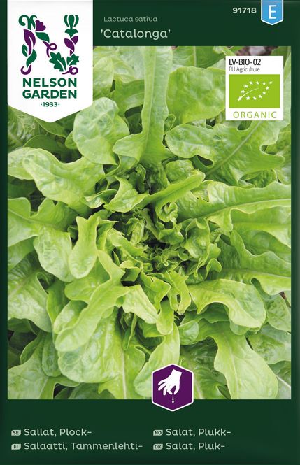 Hovedbilde Eikebladsalat 'Catalogna', organic - Lactuca sativa