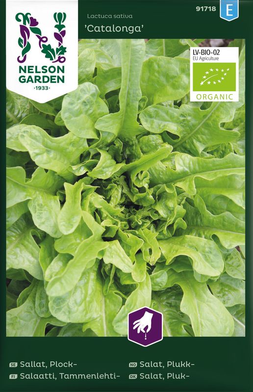 Eikebladsalat 'Catalogna', organic - Lactuca sativa
