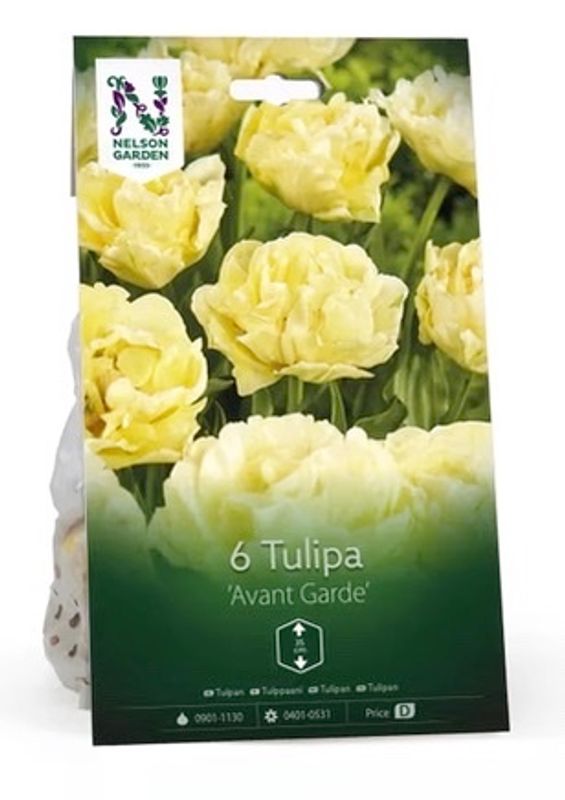 Tulipan 'Avant Garde', Tidlig dobbel - 6 stk