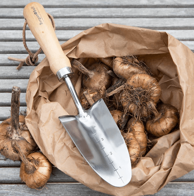Hovedbilde Burgon & Ball - Plantespade