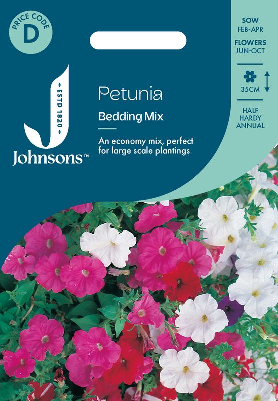 Petunia 'Bedding Mixed' - Petunia multiflora