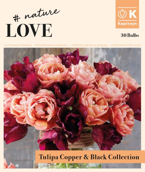 Hovedbilde Bukett kolleksjon, Bouquet tulip copper and black - 30 stk