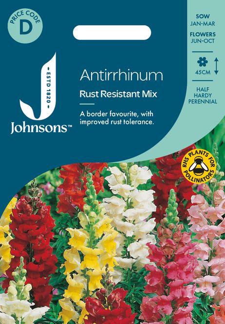 Hovedbilde Løvemunn 'Rust Resistant Mixed' - Antirrhinum majus