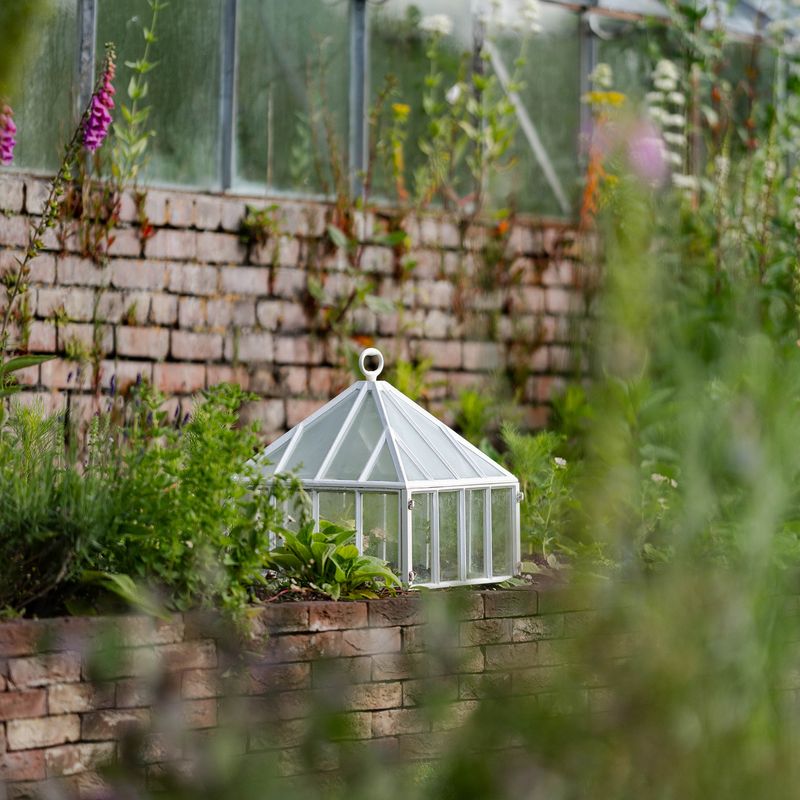Claverton Cloches Kvadratisk vekstklokke