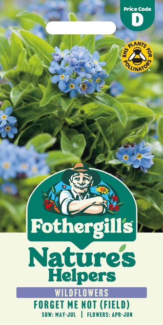 Hovedbilde Åkerforglemmegei - Myosotis arvensis