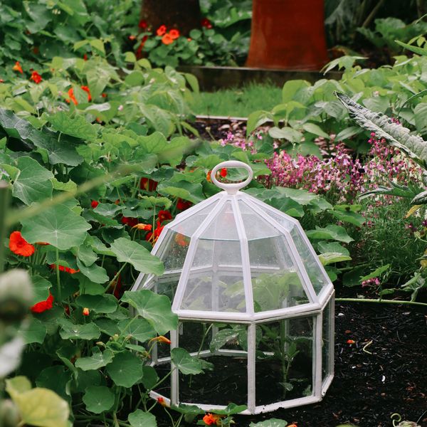 Hovedbilde Claverton Cloches Åttekantet Vekstklokke