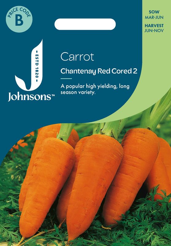 Gulrot 'Chanteney Red Cored 2' - Daucus carota