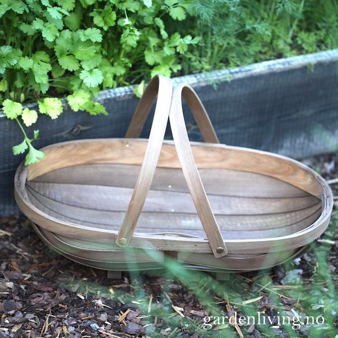 Hovedbilde Sponkurv, maxi - Sussex Trug