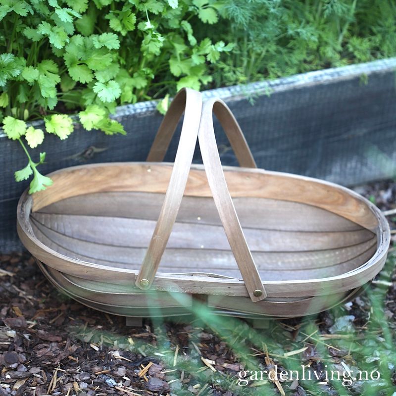 Sponkurv, maxi - Sussex Trug