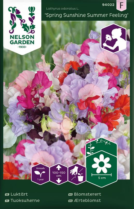 Blomsterert 'Spring Sunshine Summer Feeling' - Lathyrus odoratus 
