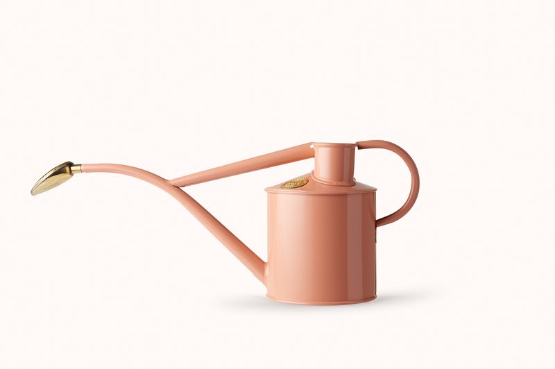 Vannkanne, Haws innendørs- rosa leire
