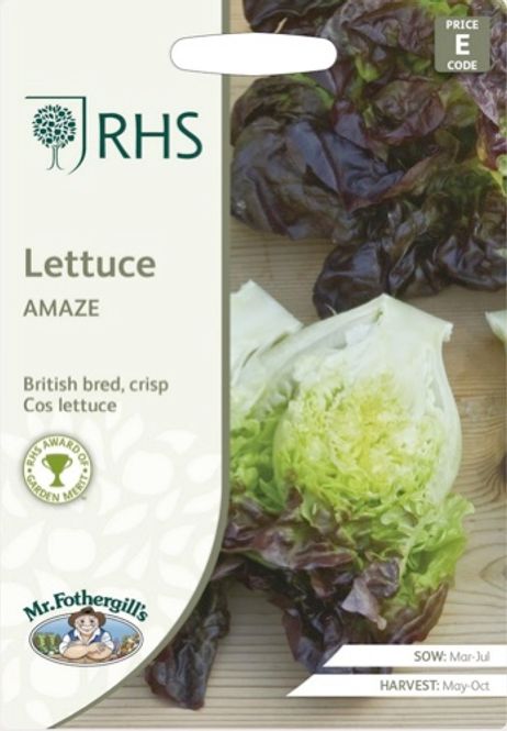 Hovedbilde Romanosalat 'Amaze' - Lactuca