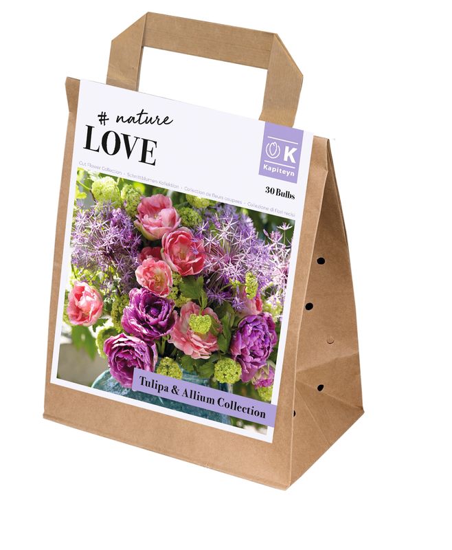 Bukett kolleksjon, Bouquet Tulipa and Allium - 25 stk