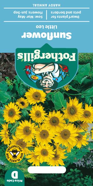 Hovedbilde Solsikke 'Little Leo' - Helianthus annuus