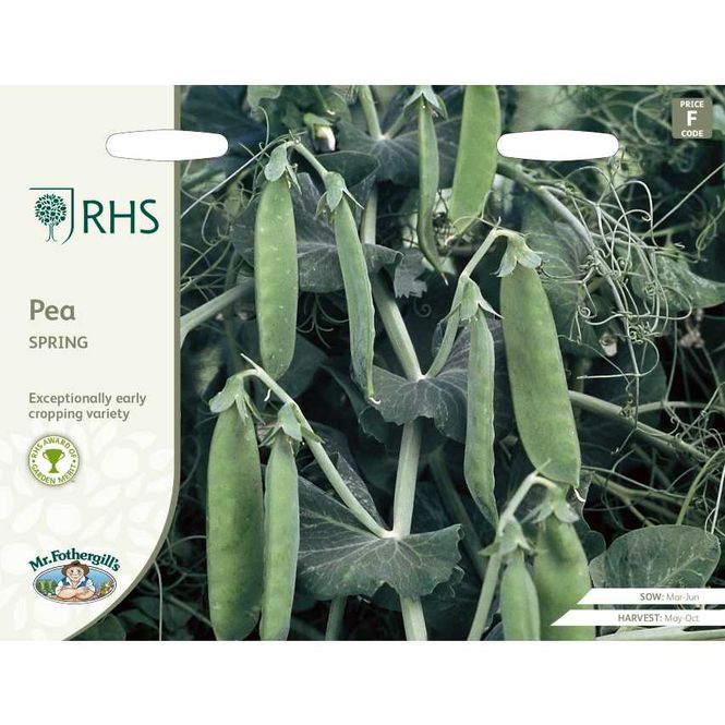 Hovedbilde Brytsukkerert 'Spring' - Pisum sativum