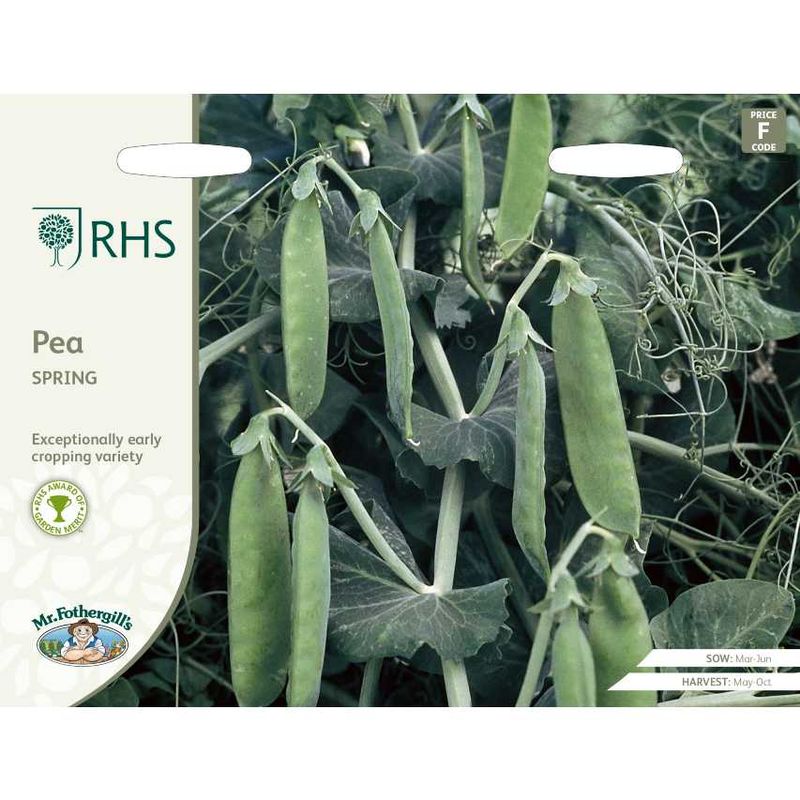 Brytsukkerert 'Spring' - Pisum sativum