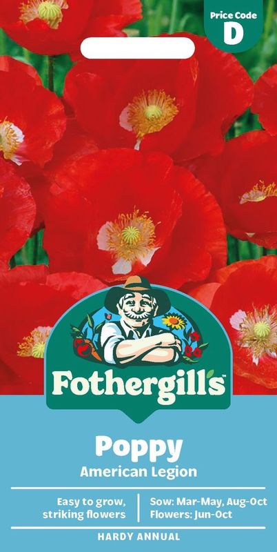 Kornvalmue 'American Legion’ - Papaver rhoeas 
