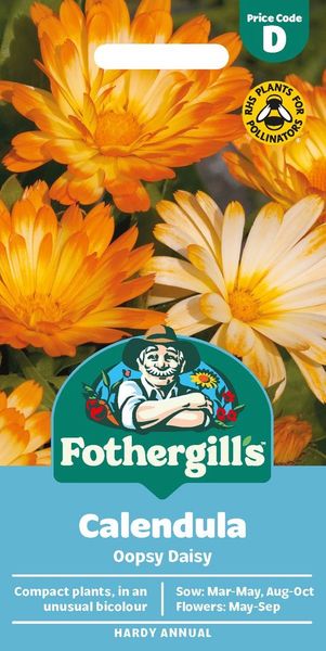Hovedbilde Ringblomst 'Oopsy Daisy’ - Calendula officinalis