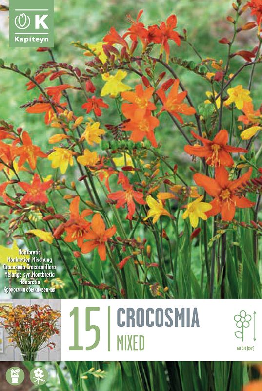 Værhane - Crocosmia crocosmiiflora Mixed - 15 stk