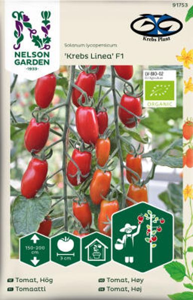 Hovedbilde Drivhustomat 'Krebs Linea' F1 - Lycopersicon