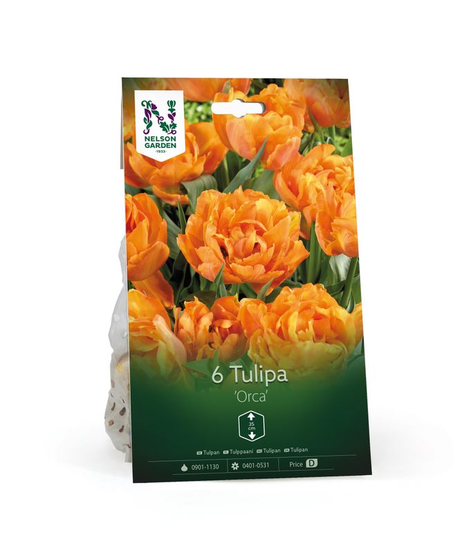 Tulipan 'Orca', Dobbel sen - 6 stk