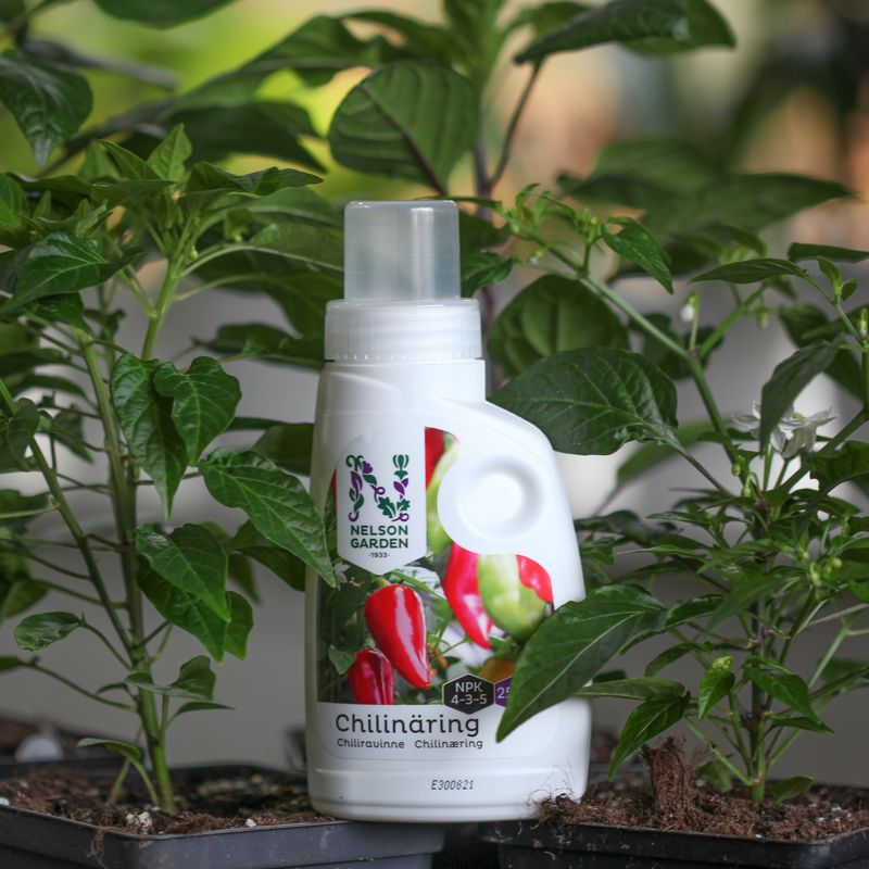 Nelson Garden chilinæring, 250 ml