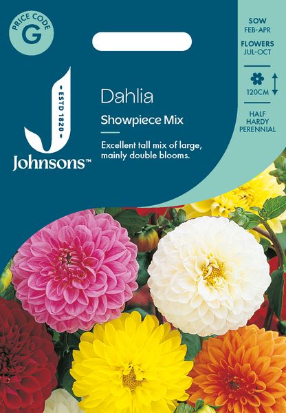 Hovedbilde Georgine 'Showpiece Mixed' - Dahlia