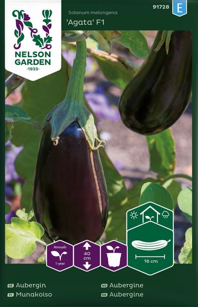 Hovedbilde Aubergine 'Agata' F1 - Solanum melongena
