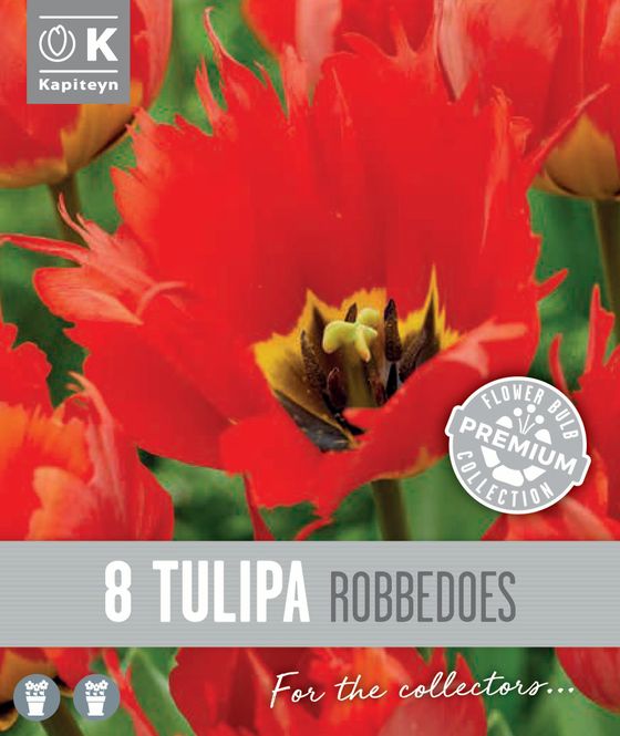 Hovedbilde Tulipan 'Robbedoes', darwinhybrid - 8 stk