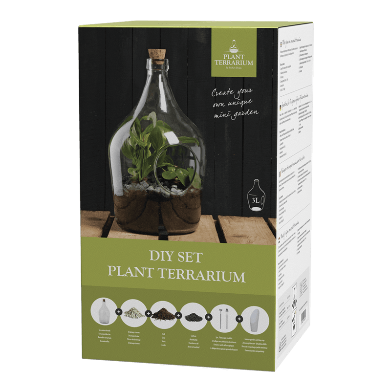 Terrarium åpen, flaske 3 L, komplett gavesett