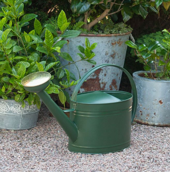 Hovedbilde Vannkanne mosegrønn, oval 7 liter
