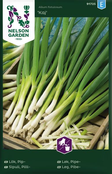 Hovedbilde Vårløk 'Kaj' - Allium fistulosum